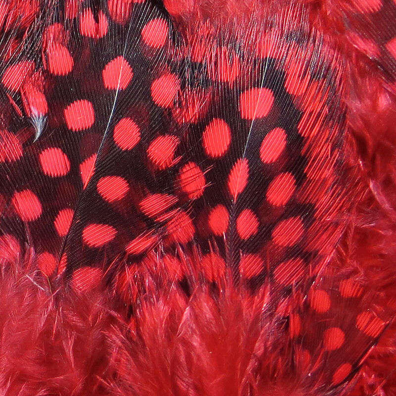 Hareline Strung Guinea Feathers - Image 6