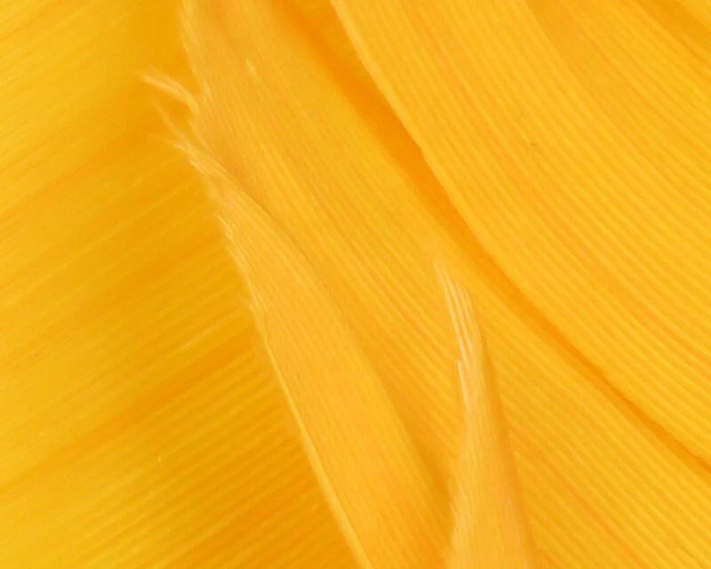 Hareline Turkey Biot Quill - Image 6