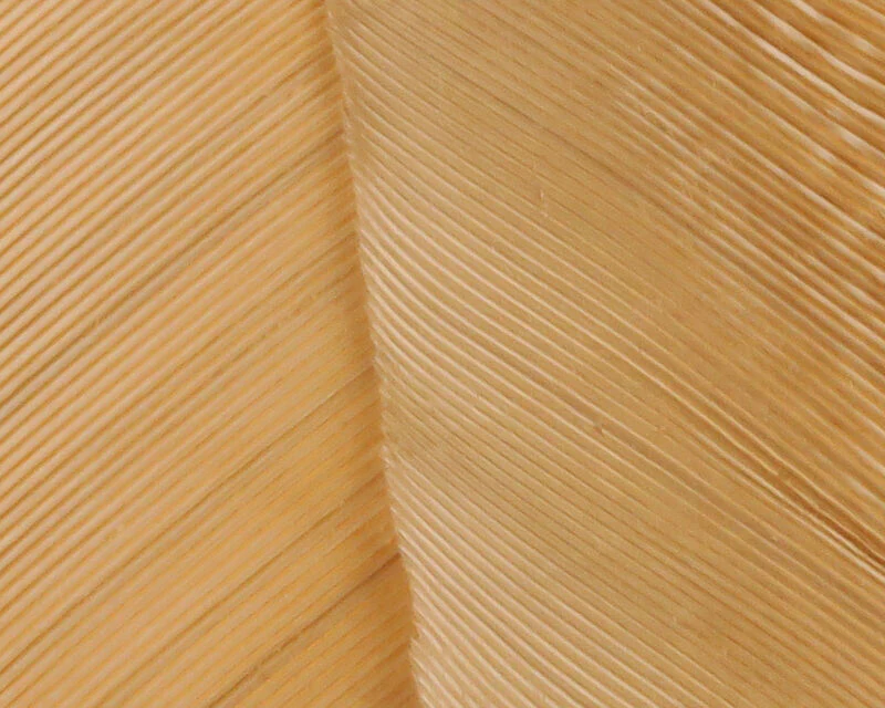 Hareline Turkey Biot Quill - Image 7