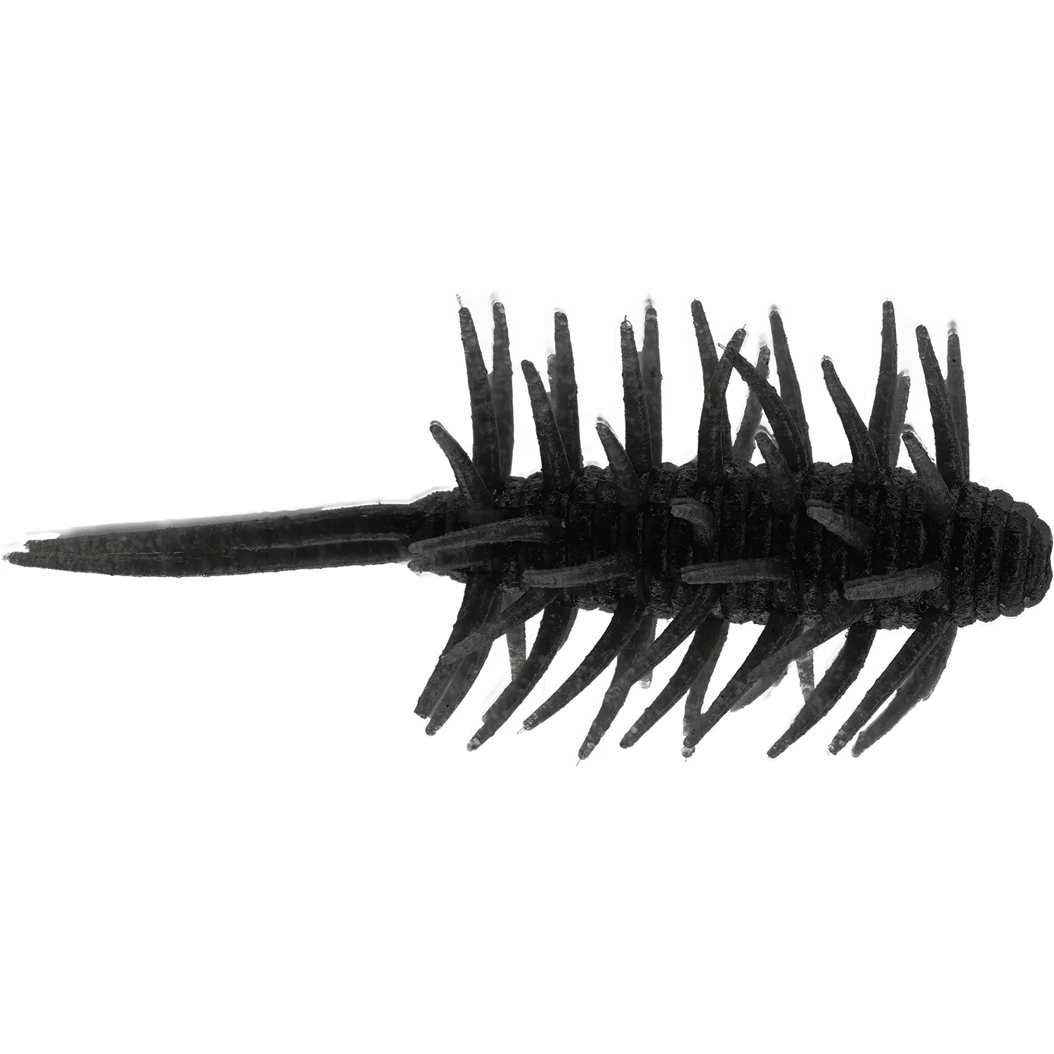 Hideup Coike Shrimp Medium - Image 2