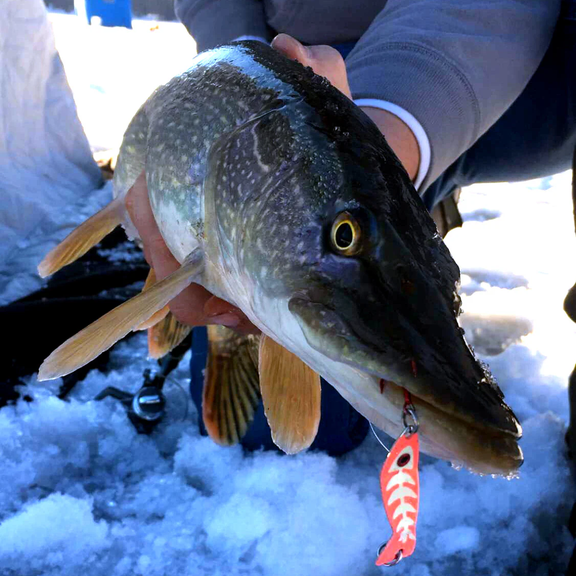 JB Lures Ghost Spoon - Image 10