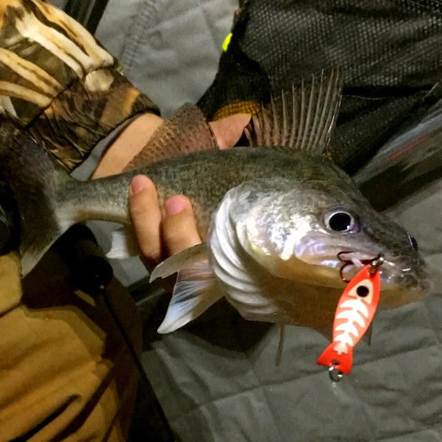 JB Lures Ghost Spoon - Image 11