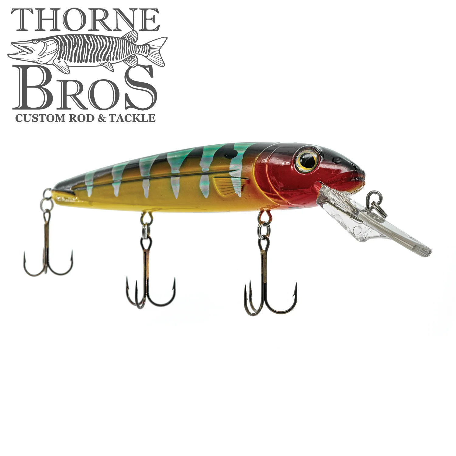 Livingston Lures Rachel 192