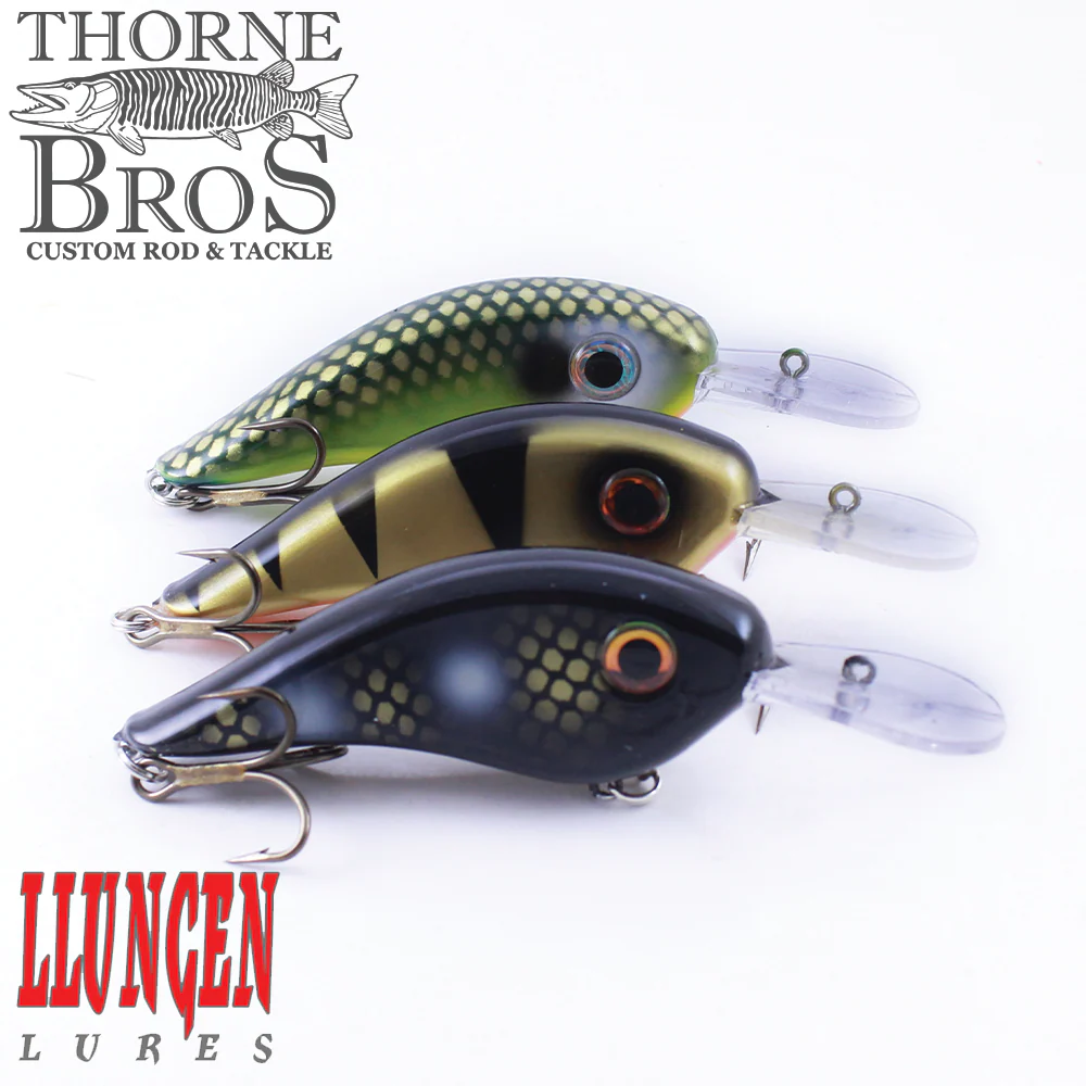 Llungen Chad Shad