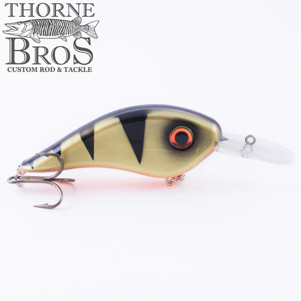 Llungen Chad Shad - Image 6
