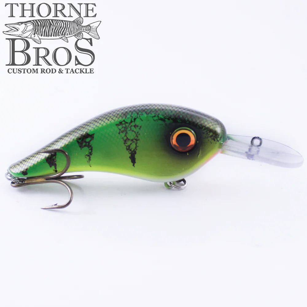 Llungen Chad Shad - Image 7