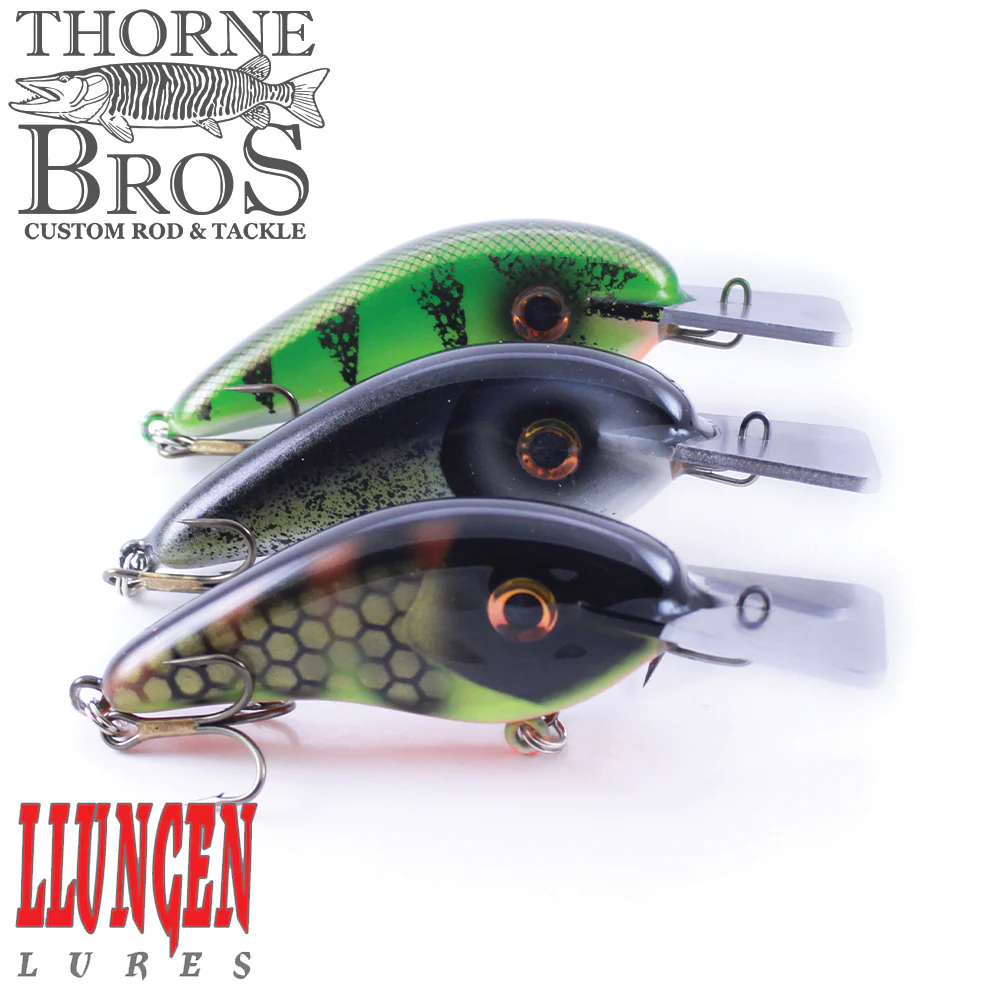 Llungen Chad Shad - Metal Lip (Square)