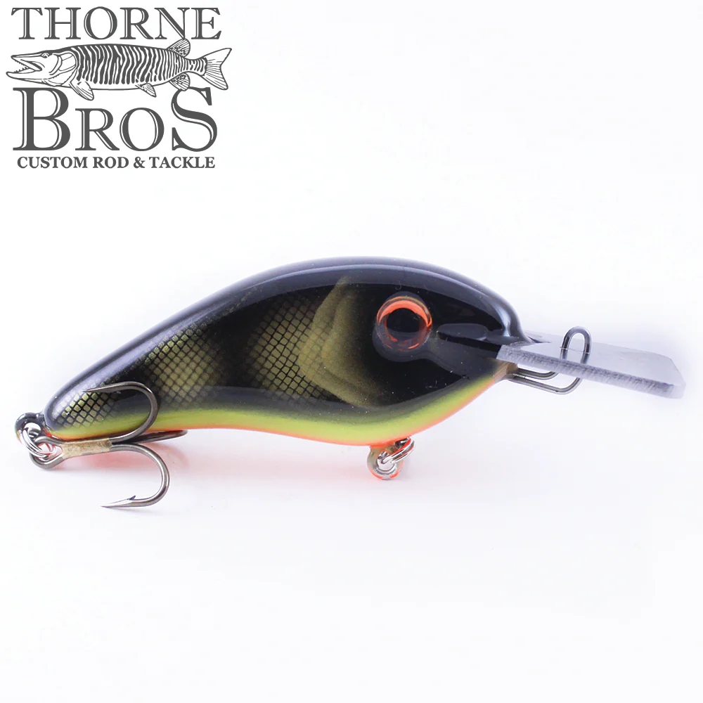 Llungen Chad Shad - Metal Lip (Square) - Image 2