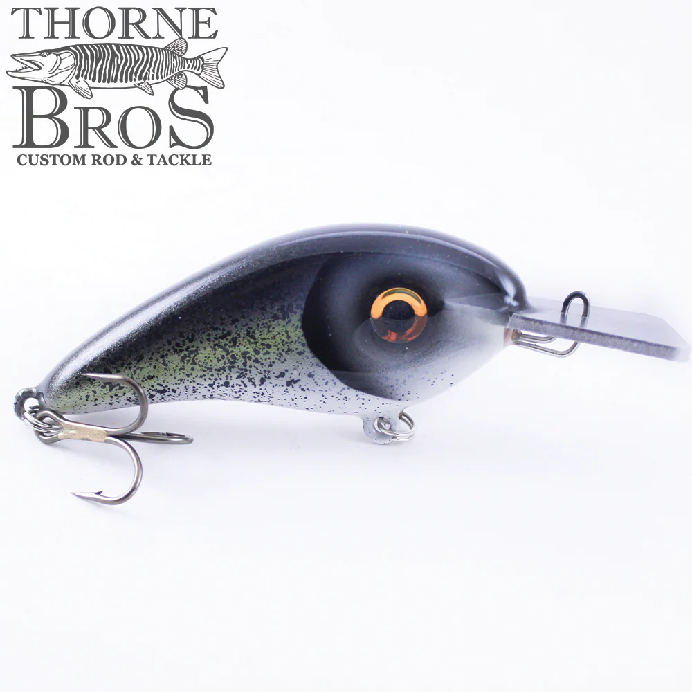 Llungen Chad Shad - Metal Lip (Square) - Image 4