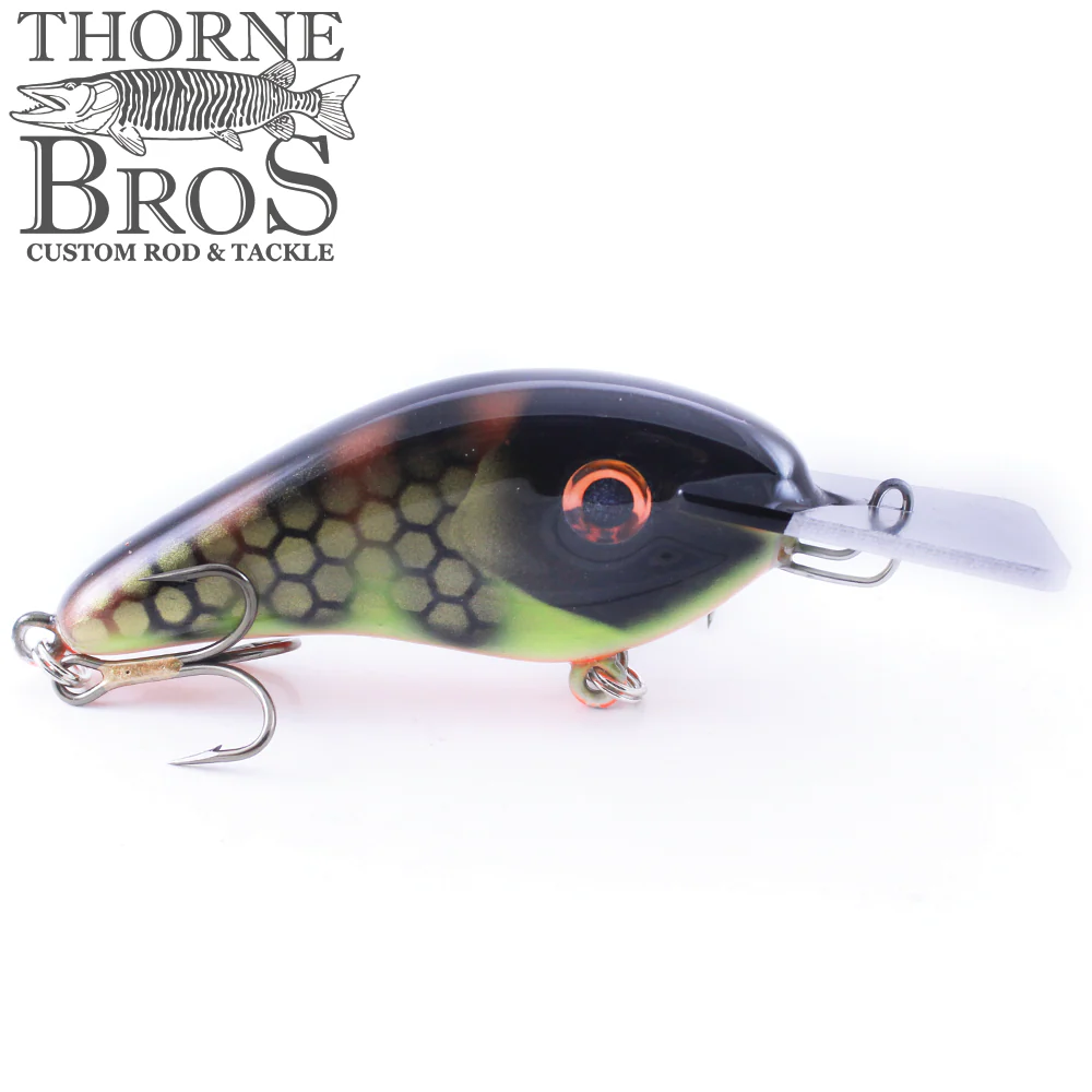 Llungen Chad Shad - Metal Lip (Square) - Image 5