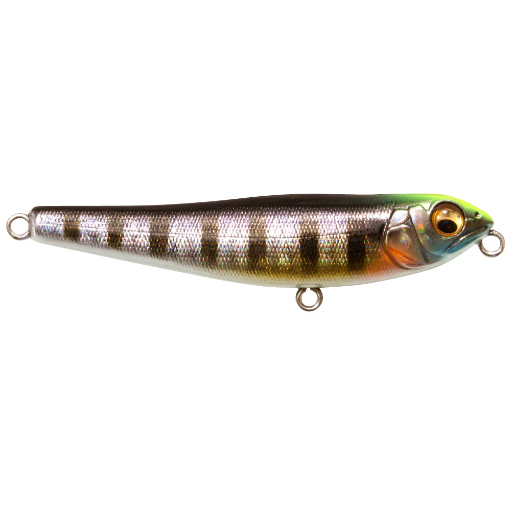 Megabass Dog-X Jr. Coayu BFS - Image 2