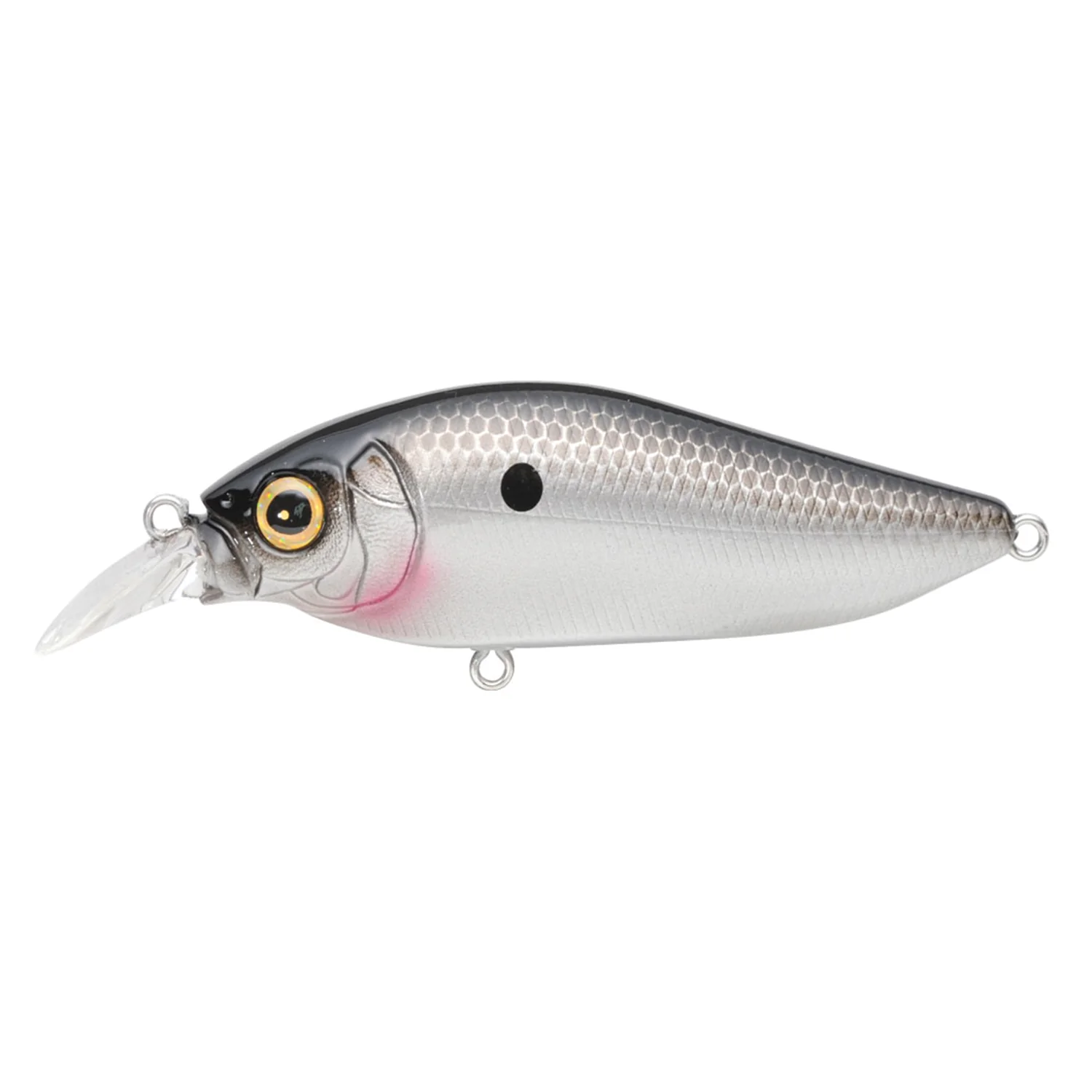 Megabass Flapslap - Image 10