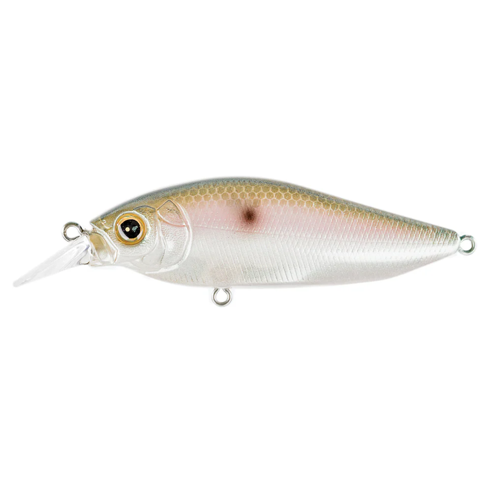 Megabass Flapslap - Image 5