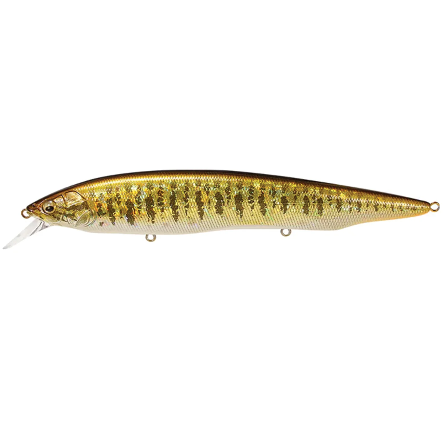 Megabass Kanata - Image 16