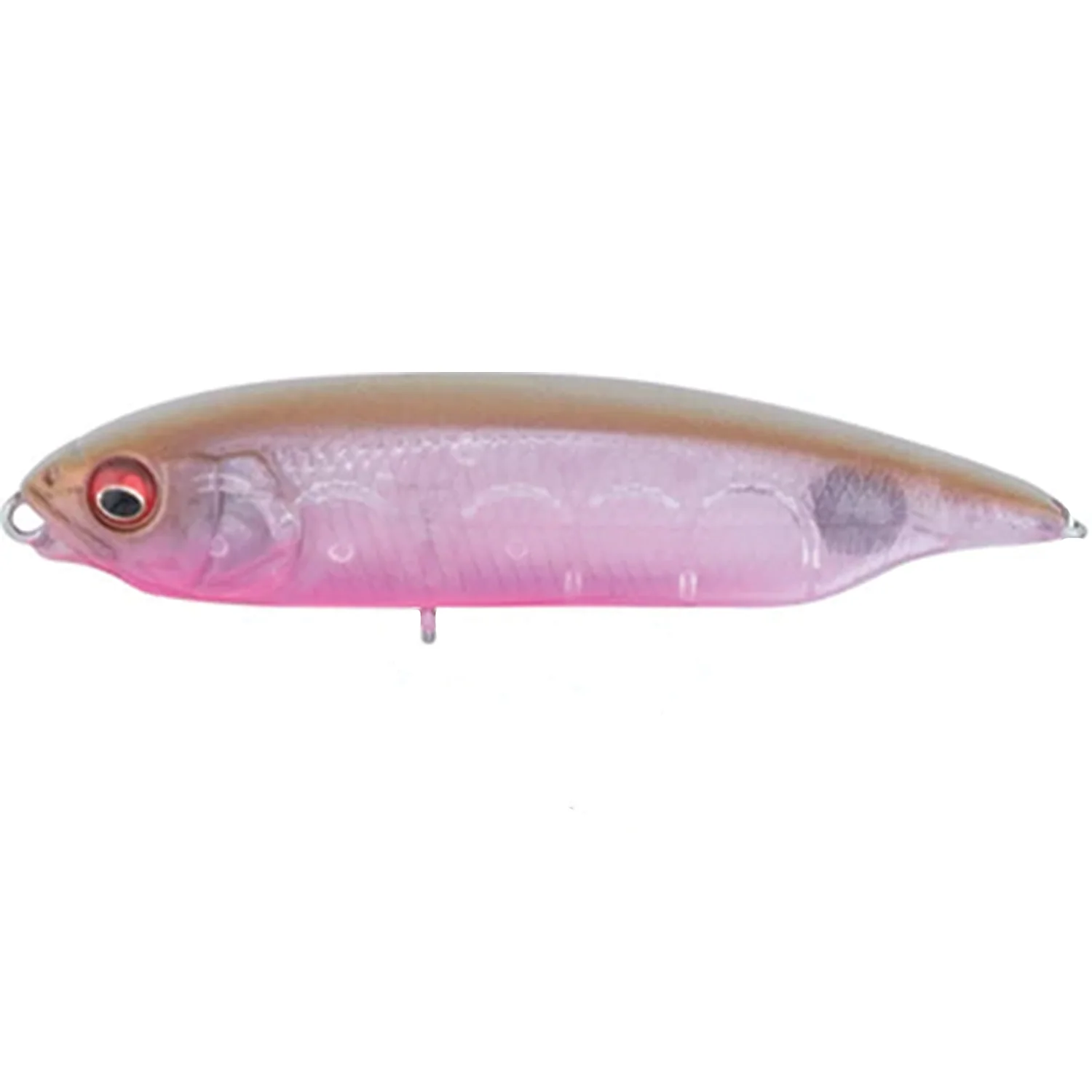 Megabass Karashi - Image 15