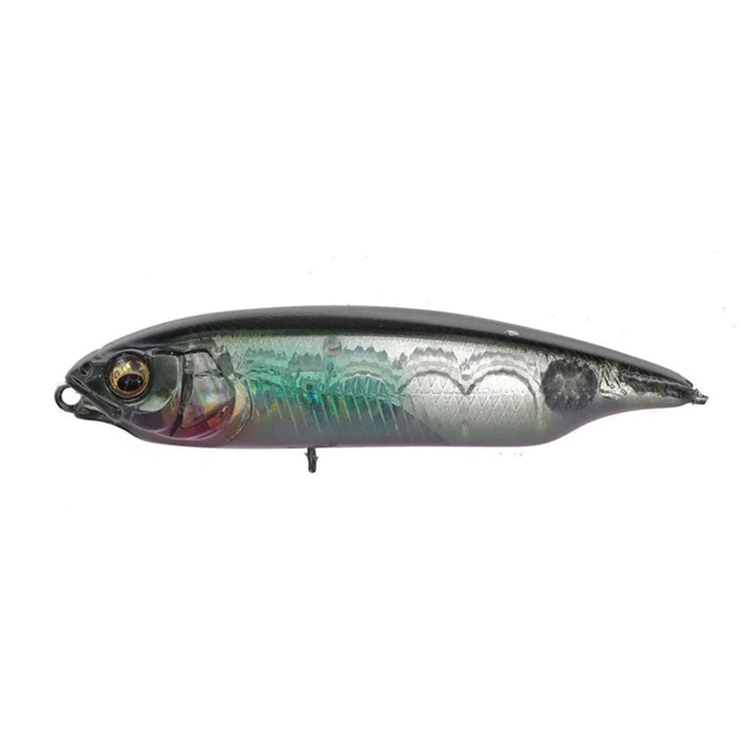 Megabass Karashi - Image 4