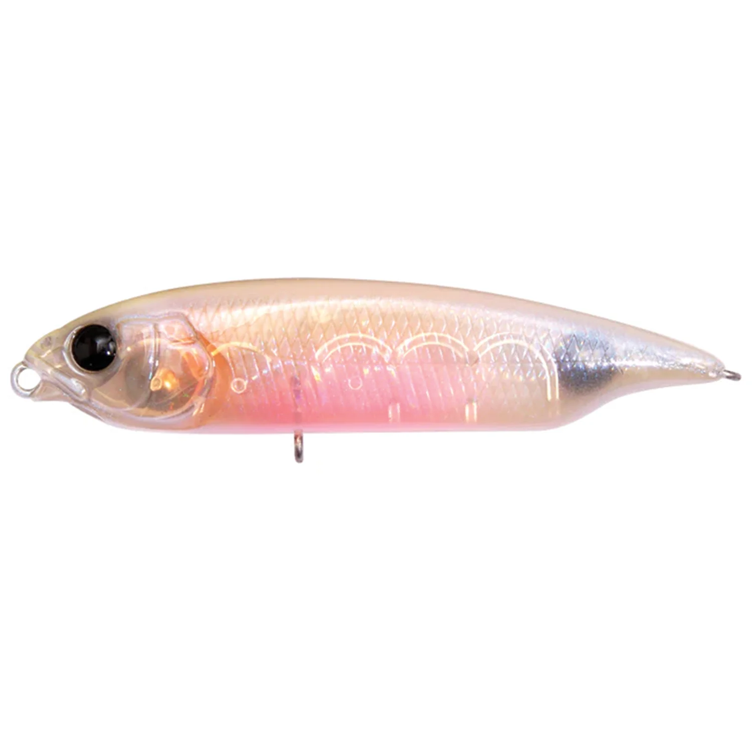 Megabass Karashi - Image 6