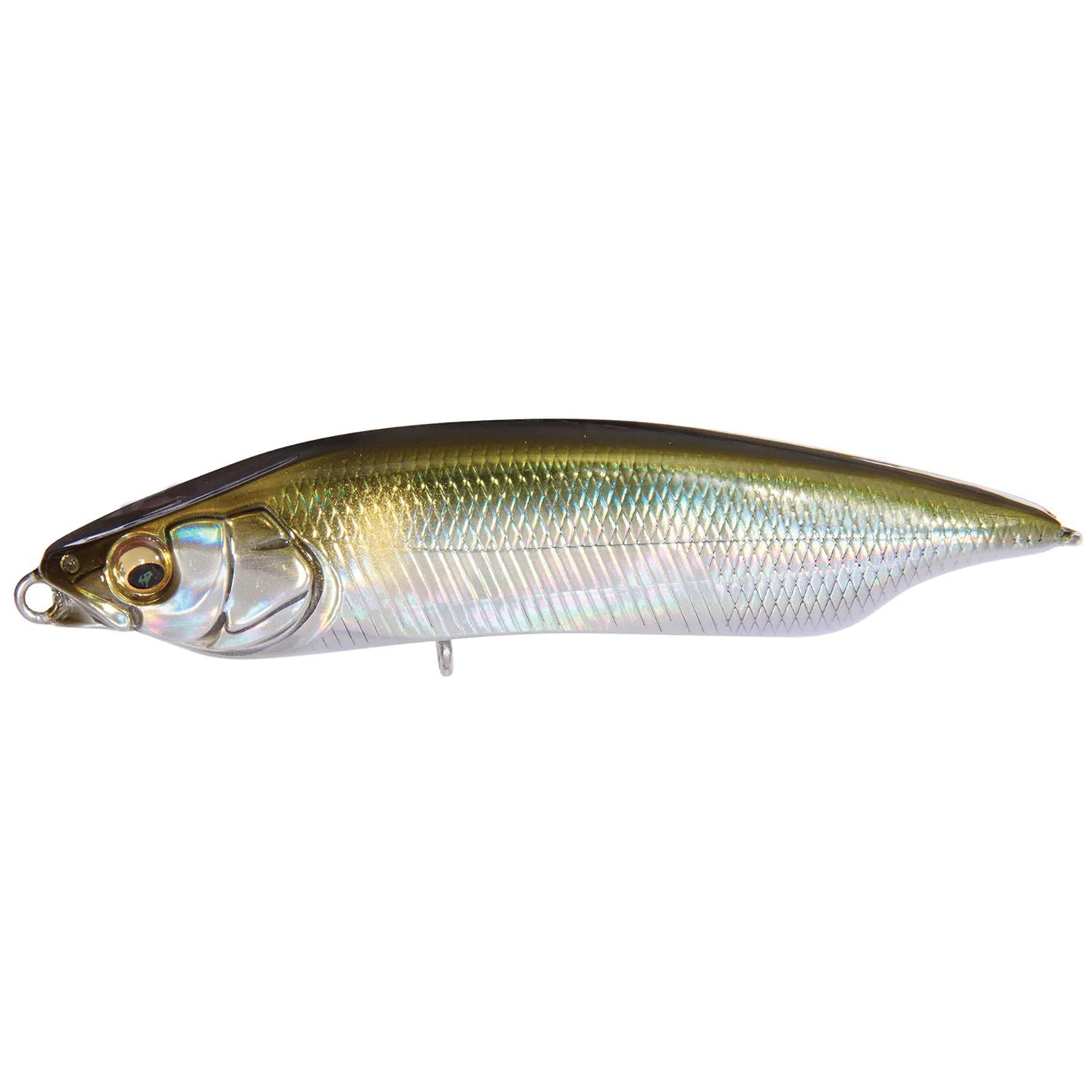 Megabass Karashi 80
