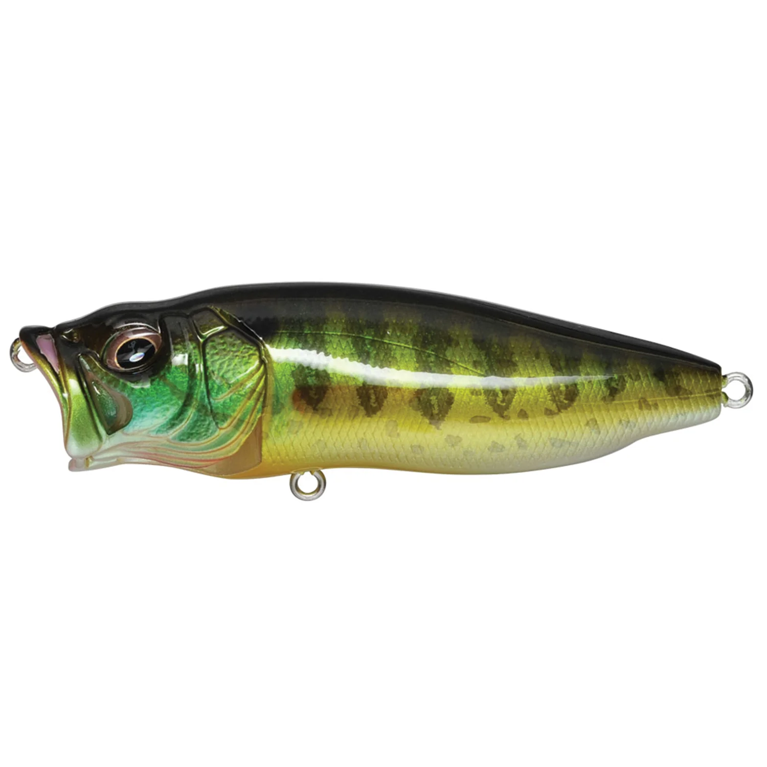 Megabass PopMax - Image 10
