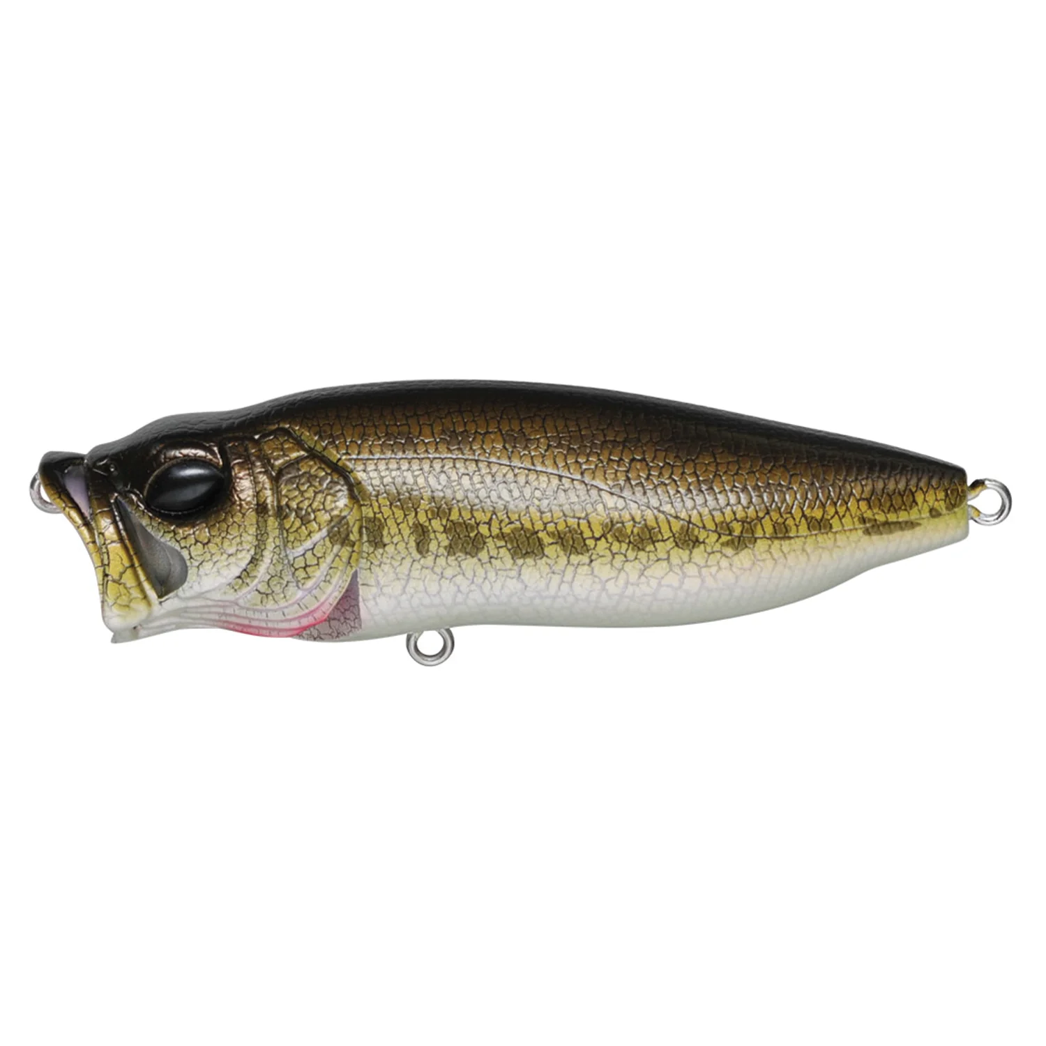 Megabass PopMax - Image 9