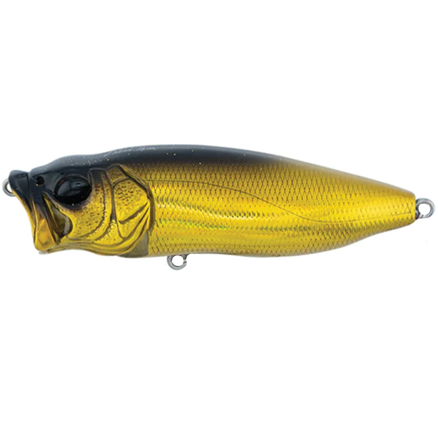 Megabass Pop-X - Image 11