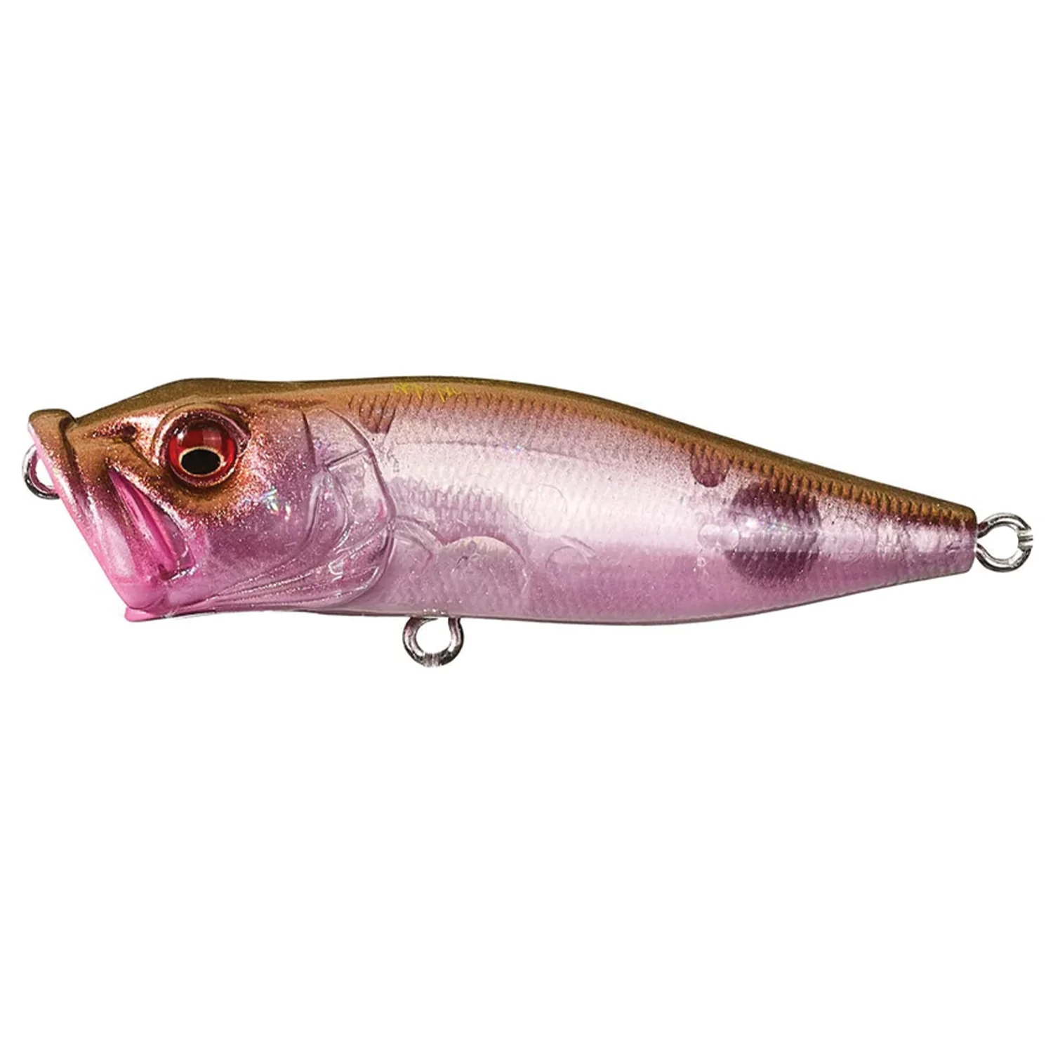Megabass Pop-X - Image 13
