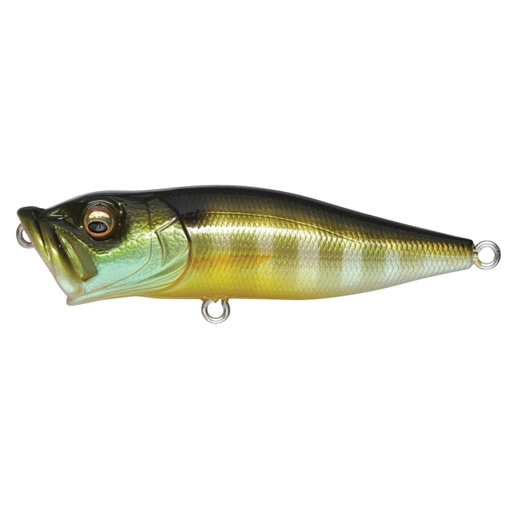 Megabass Pop-X - Image 4