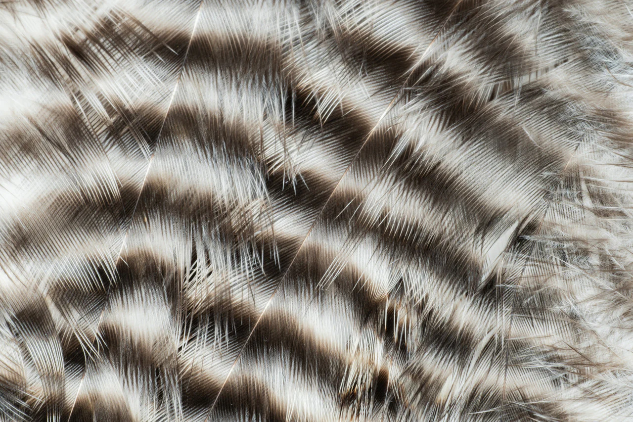 Metz Predator Pack - Image 12