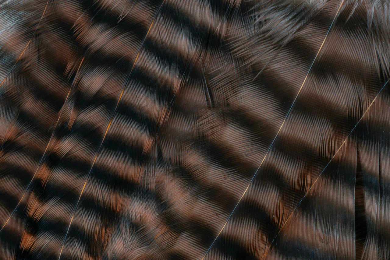 Metz Predator Pack - Image 3