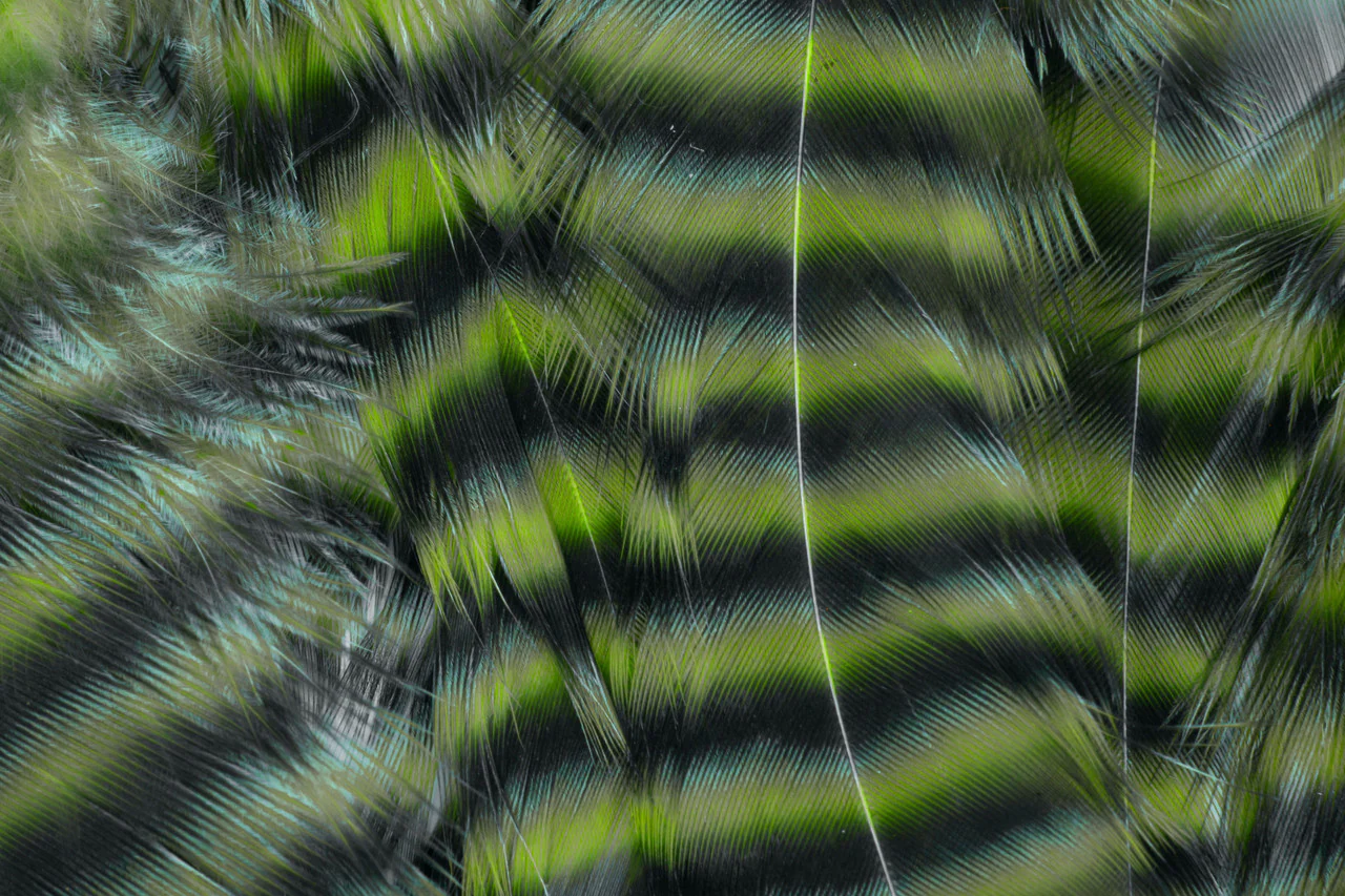 Metz Predator Pack - Image 6