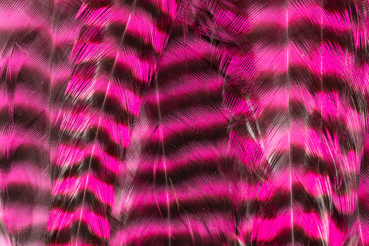 Metz Predator Pack - Image 8