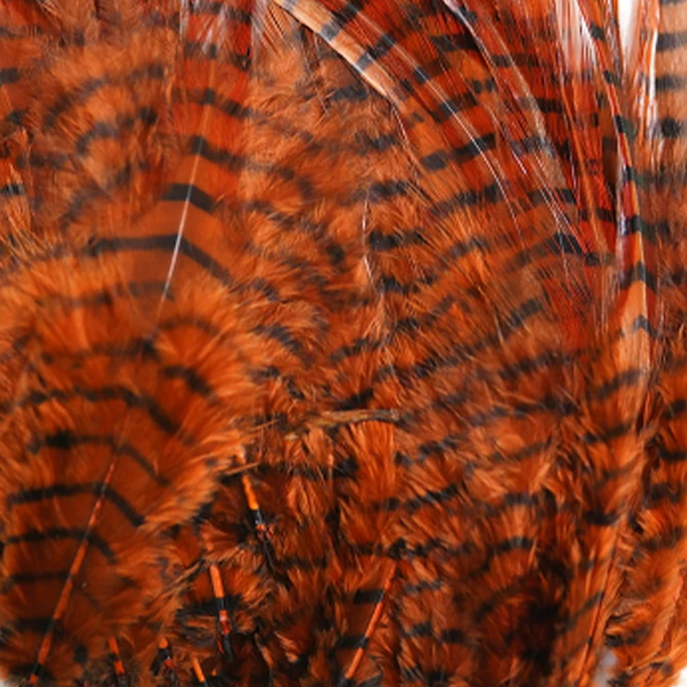MFC Barred Saddle Hackle - Image 2