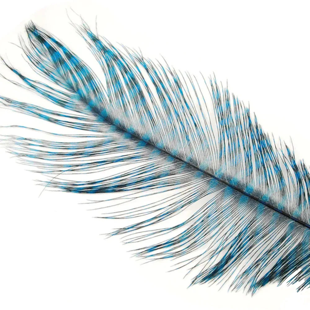 MFC Barred Ostrich Plume - Image 2