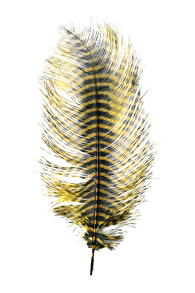 MFC Barred Ostrich Plume - Image 7