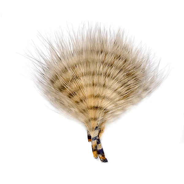 MFC Buggerbou Mini Barred - Image 4