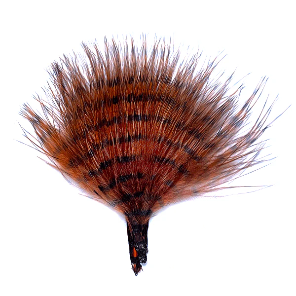 MFC Buggerbou Mini Barred - Image 9