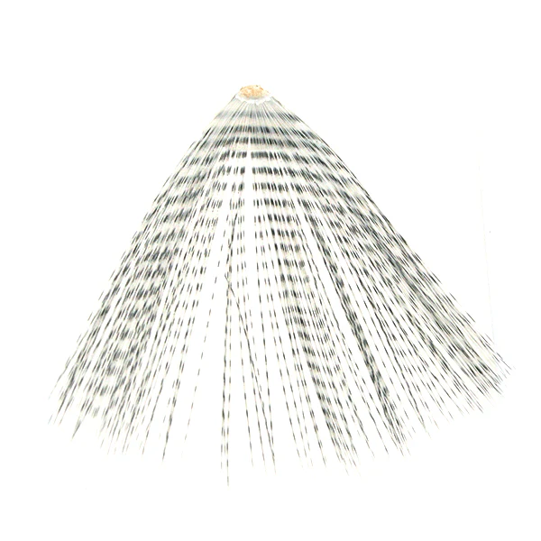MFC Micro-Barred Fibbetts - Image 3
