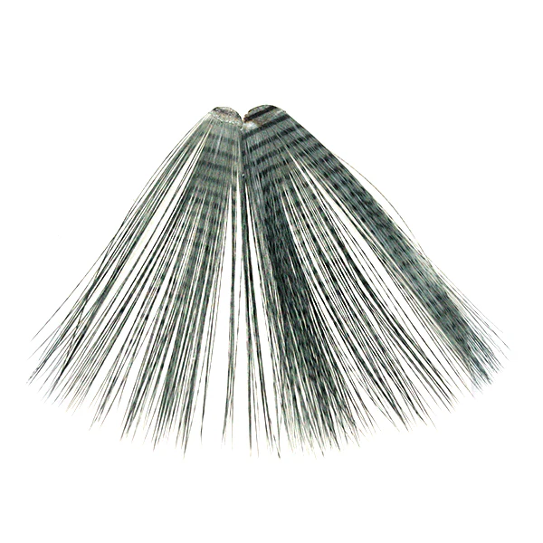 MFC Micro-Barred Fibbetts - Image 4
