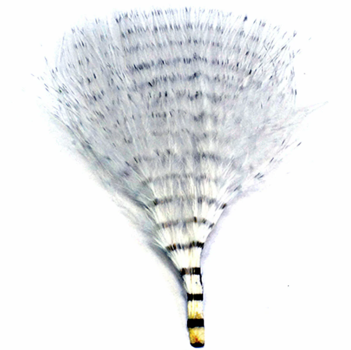 MFC Mini Barred Marabou - Image 6