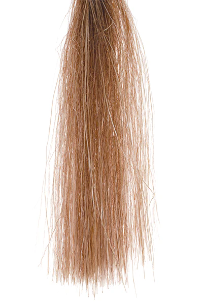 MFC Senyo's Shadow Fiber - Image 6