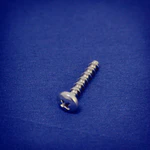 Minn Kota SCREW-#10 X 1.0" PPH HI-LO SS  P/N:3393480