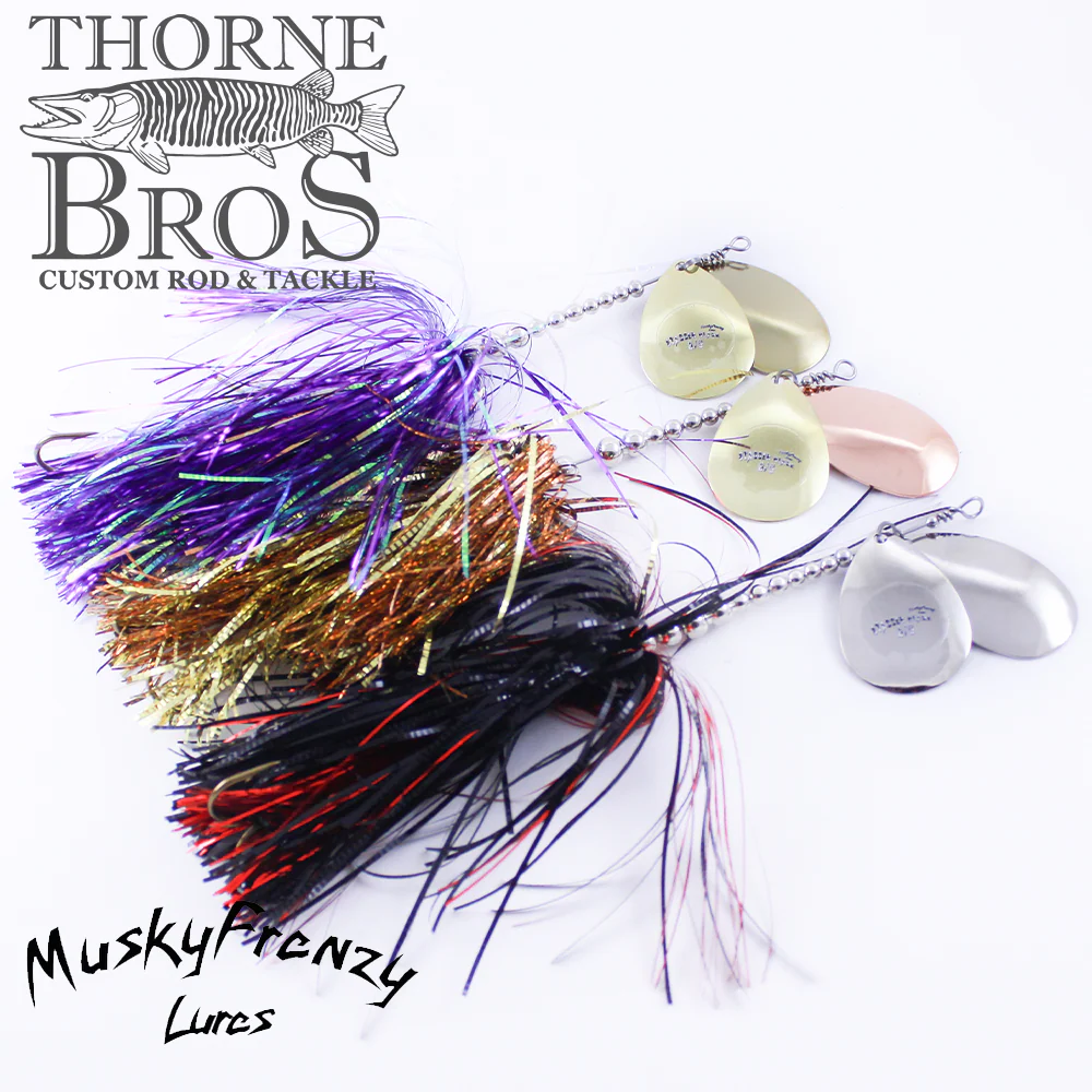 Musky Frenzy Apache Stag 8/9