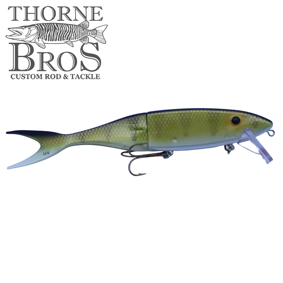 Musky Innovations Invader-Magnum Shallow - Image 7