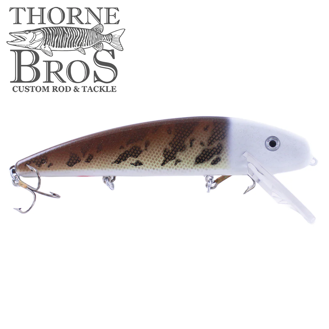 Musky Mania Jake 8" - Image 8