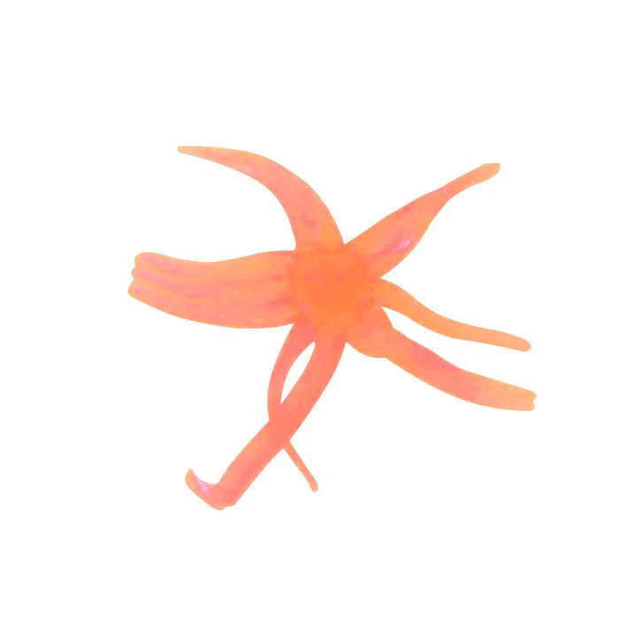 Clam Neki