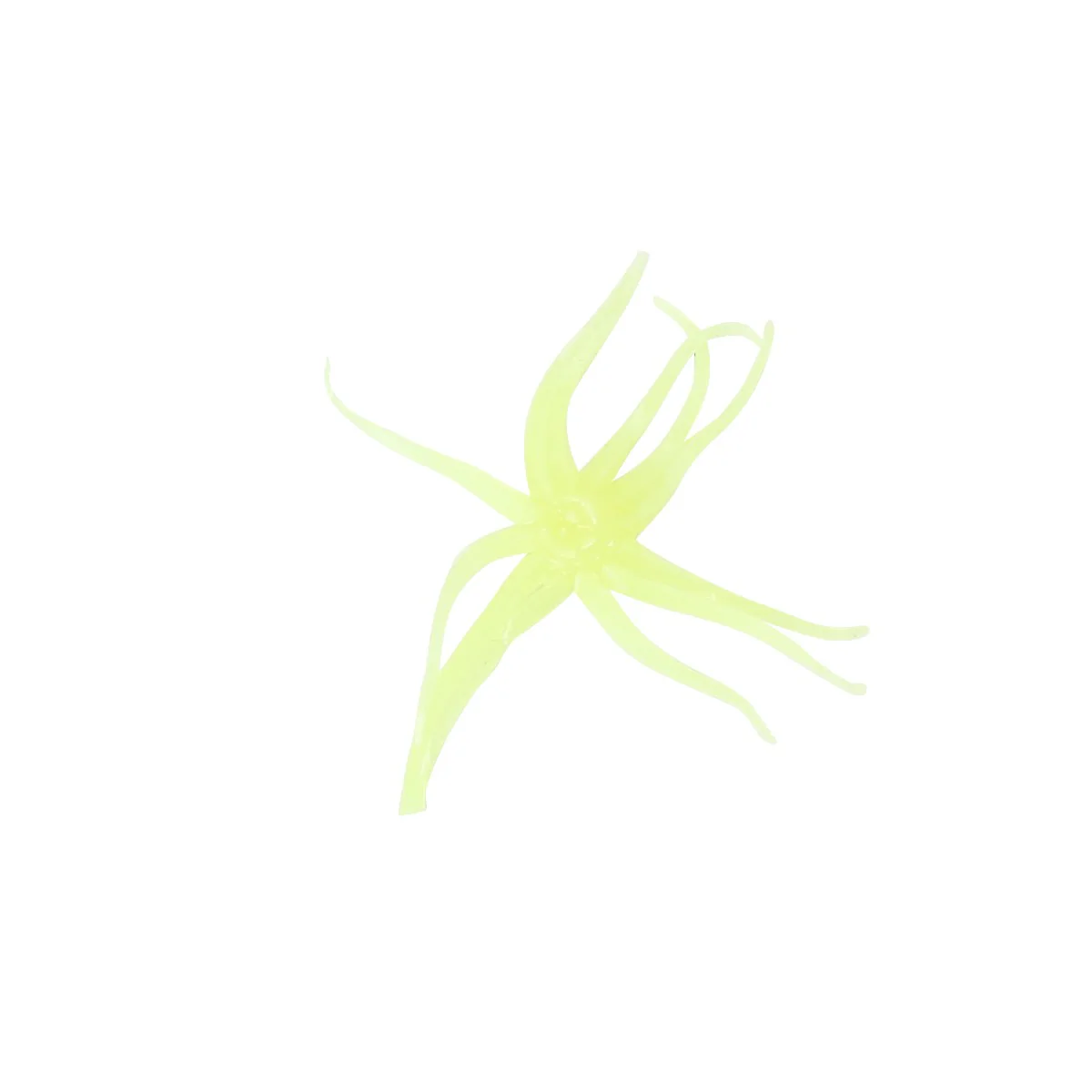 Clam Neki - Image 2