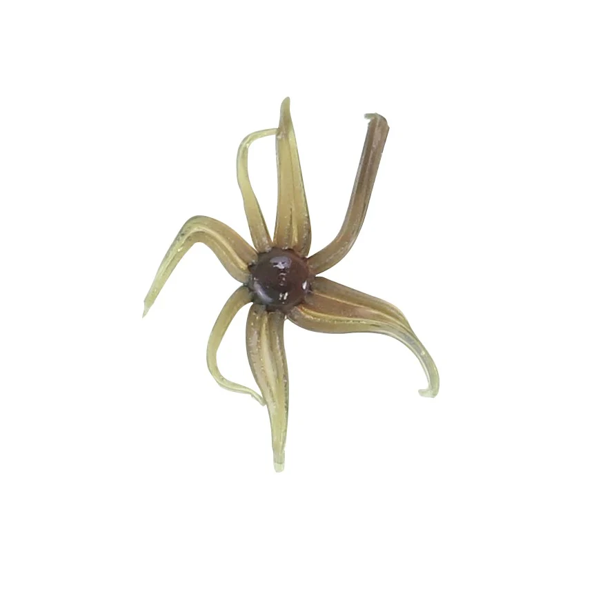 Clam Neki - Image 4