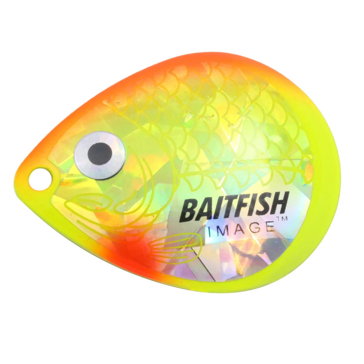 Northland Baitfish-Image Colorado Blade - Image 10