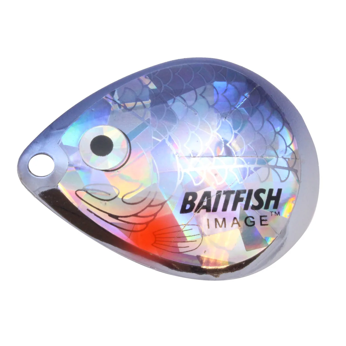 Northland Baitfish-Image Colorado Blade - Image 6