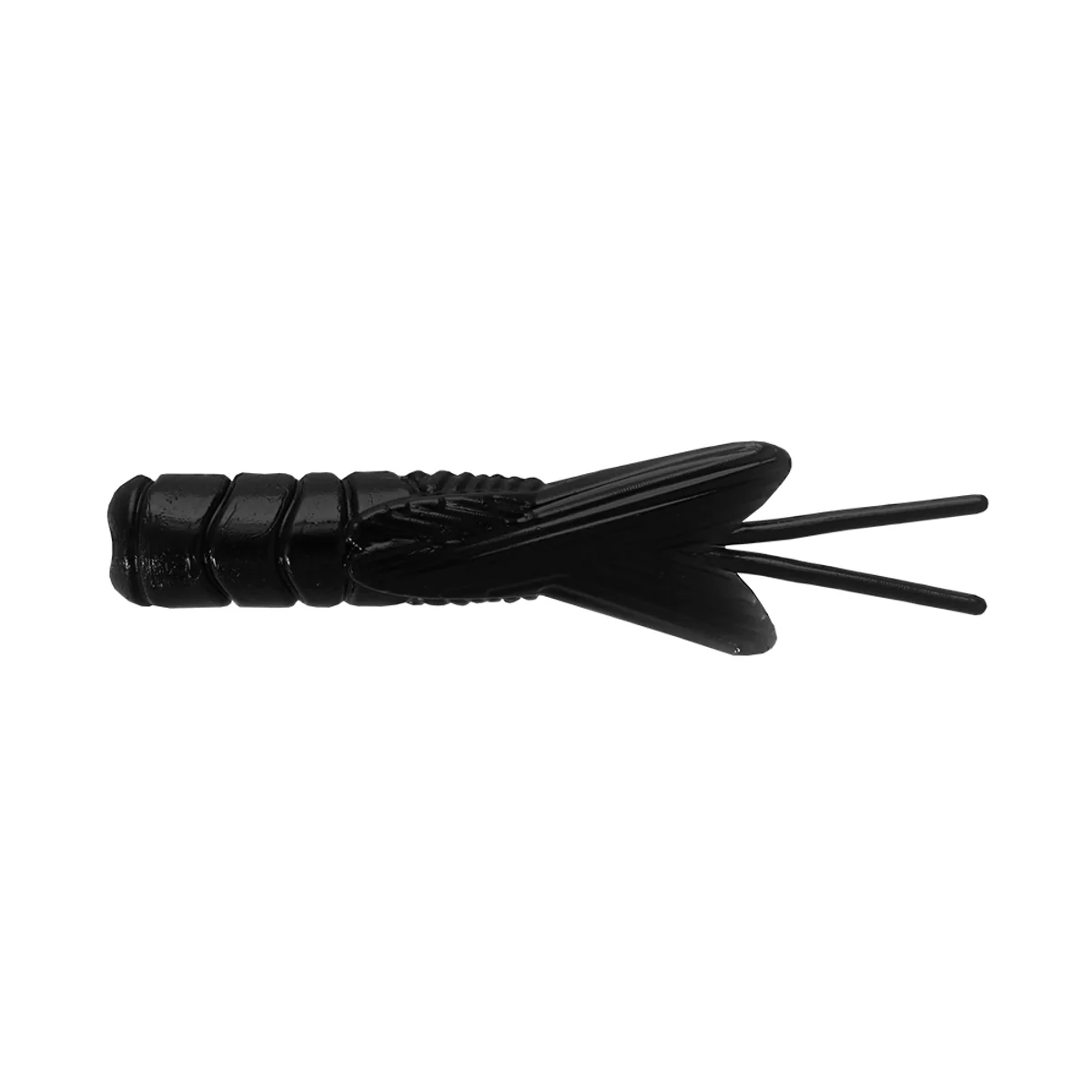 Northland Pan-Candy Larvae Bug - Image 4